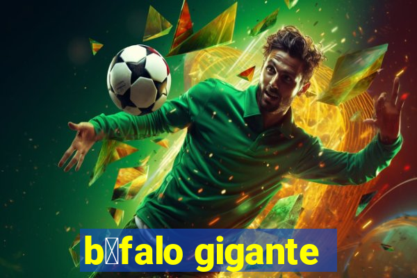 b煤falo gigante