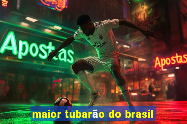 maior tubarão do brasil