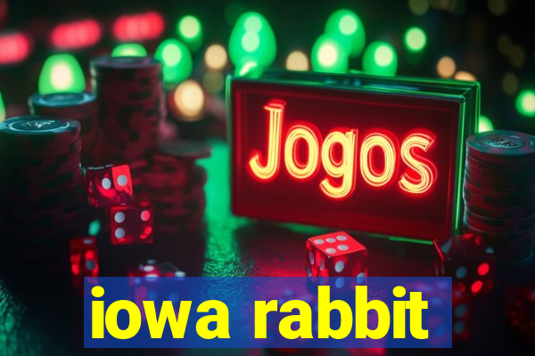 iowa rabbit