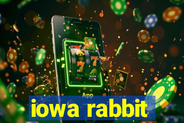 iowa rabbit