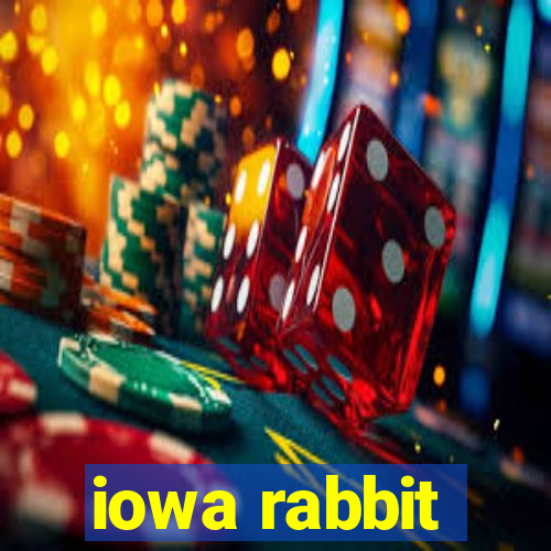 iowa rabbit