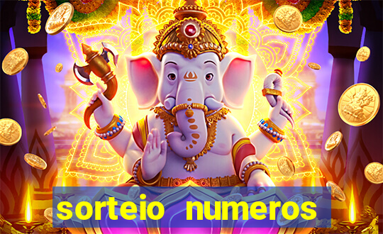 sorteio numeros bingo online