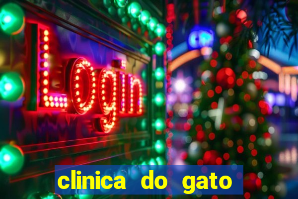 clinica do gato porto alegre