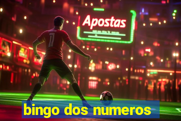 bingo dos numeros