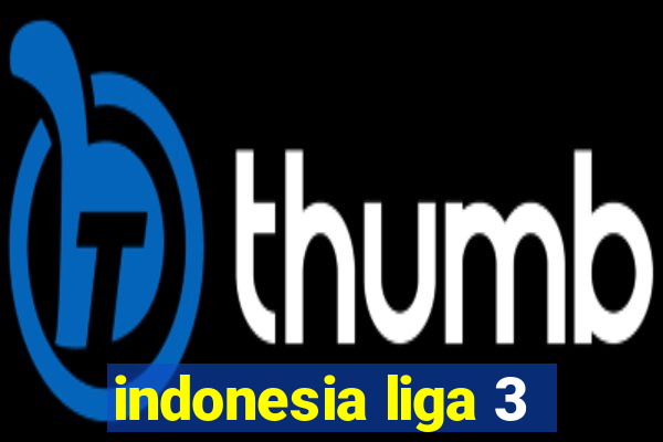 indonesia liga 3