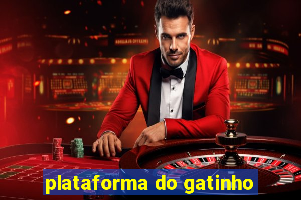 plataforma do gatinho