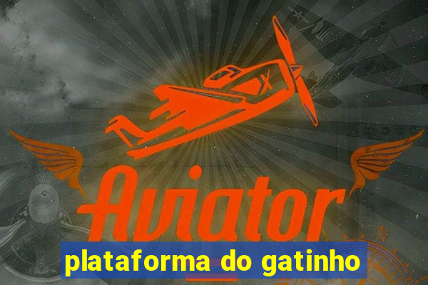 plataforma do gatinho