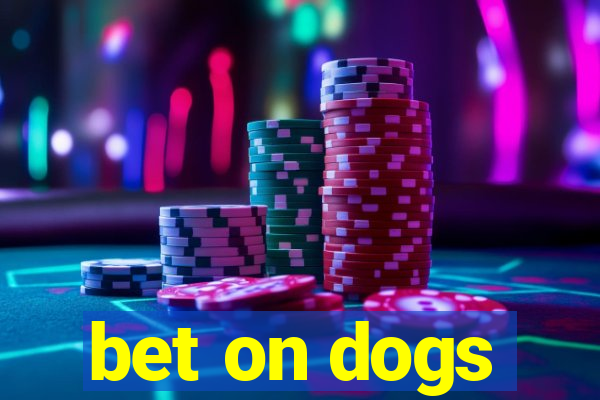 bet on dogs