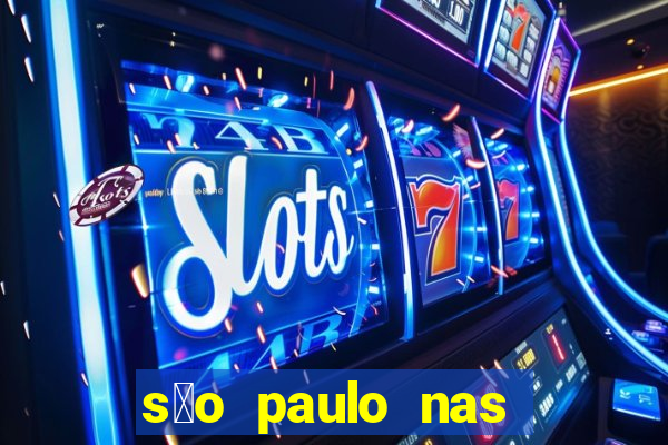 s茫o paulo nas alturas pdf