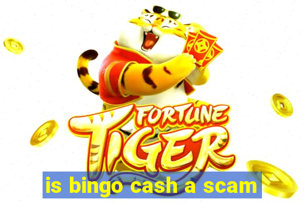 is bingo cash a scam