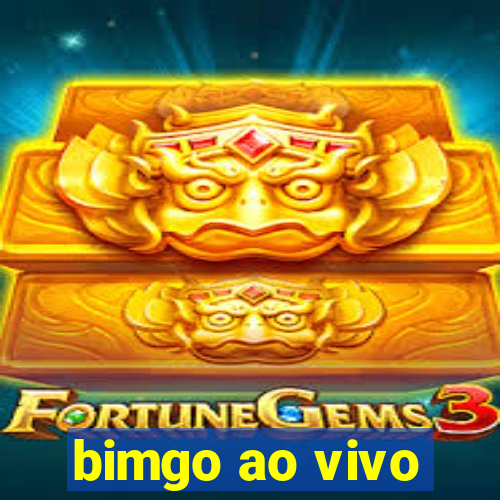 bimgo ao vivo