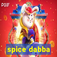 spice dabba