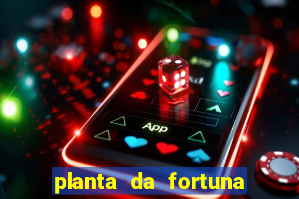 planta da fortuna e felicidade