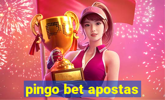 pingo bet apostas