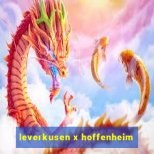 leverkusen x hoffenheim