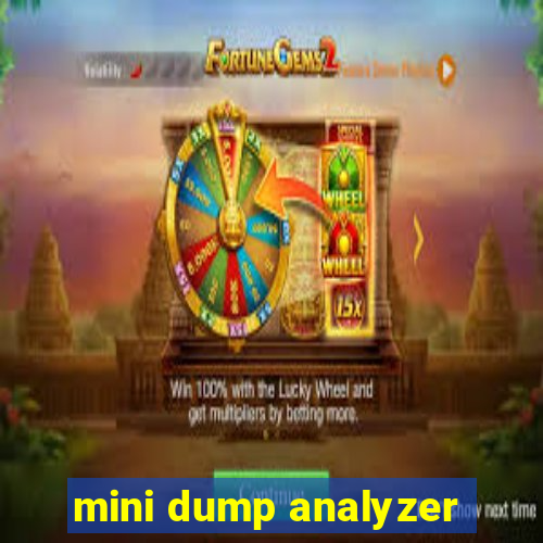 mini dump analyzer