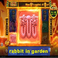 rabbit in garden