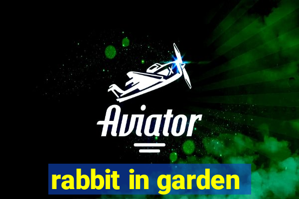 rabbit in garden