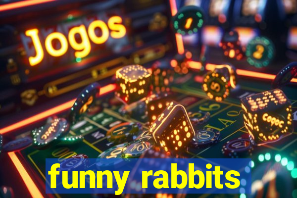 funny rabbits