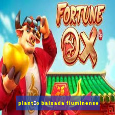 plant茫o baixada fluminense