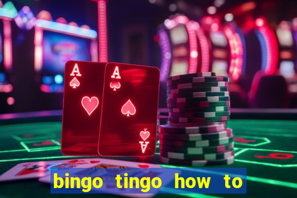 bingo tingo how to use canva