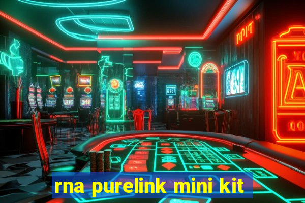 rna purelink mini kit