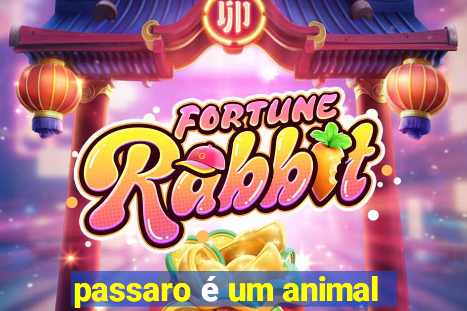 passaro é um animal