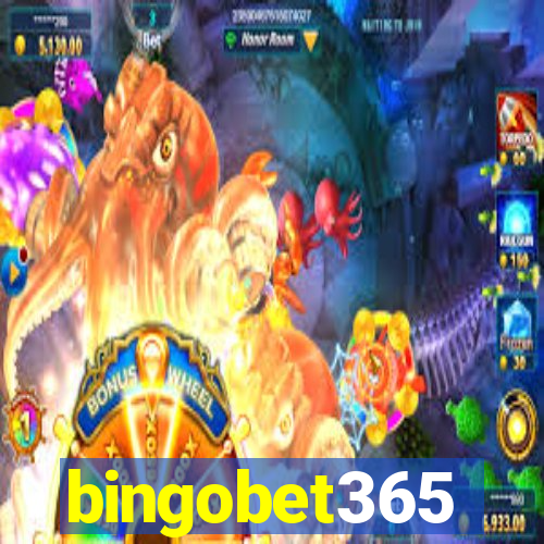 bingobet365