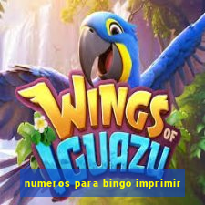 numeros para bingo imprimir