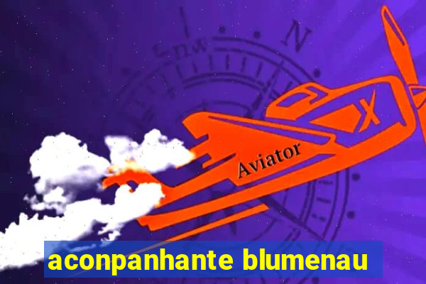 aconpanhante blumenau