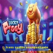 trans santos acompanhante