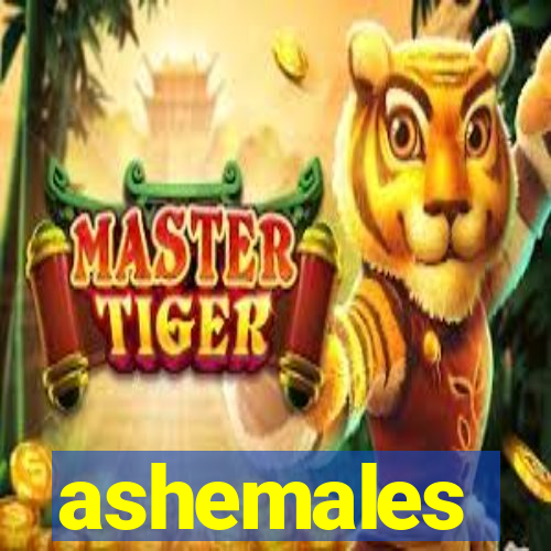 ashemales