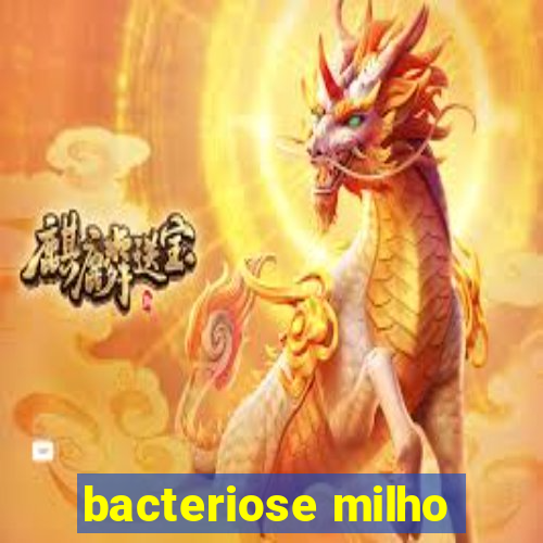 bacteriose milho