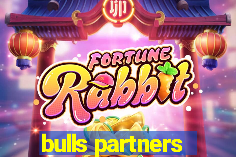 bulls partners