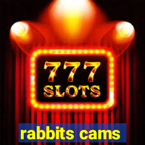 rabbits cams