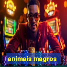 animais magros