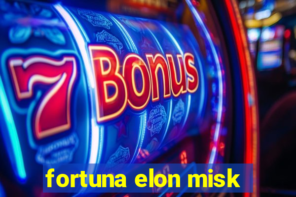 fortuna elon misk