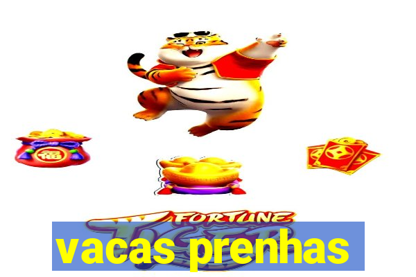 vacas prenhas