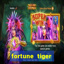 fortune tiger esporte da sorte