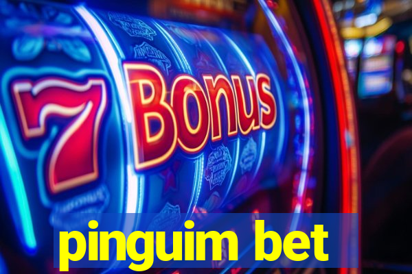 pinguim bet