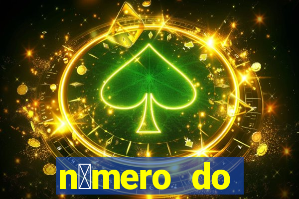 n煤mero do bate-papo da vivo