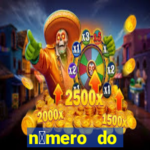 n煤mero do bate-papo da vivo