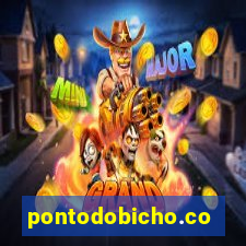 pontodobicho.com