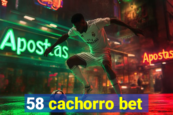 58 cachorro bet