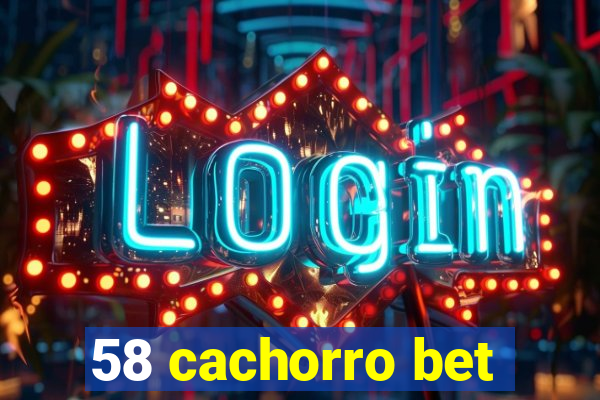 58 cachorro bet