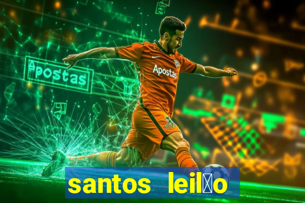 santos leil茫o passo fundo