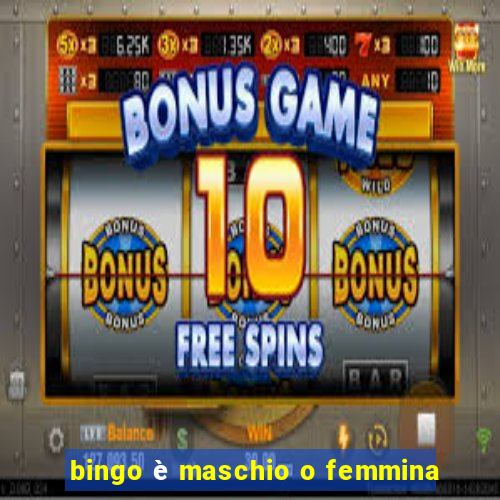 bingo è maschio o femmina