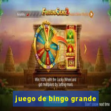 juego de bingo grande