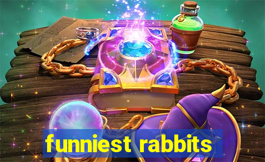 funniest rabbits