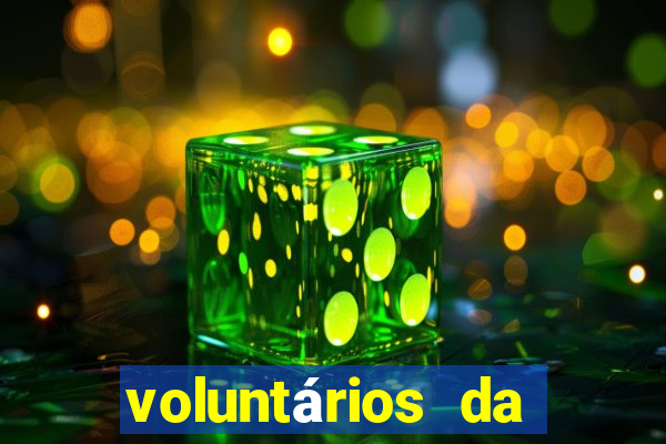 voluntários da pátria 344